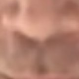 NOSE region of the target image, report CC-20260713-37F4